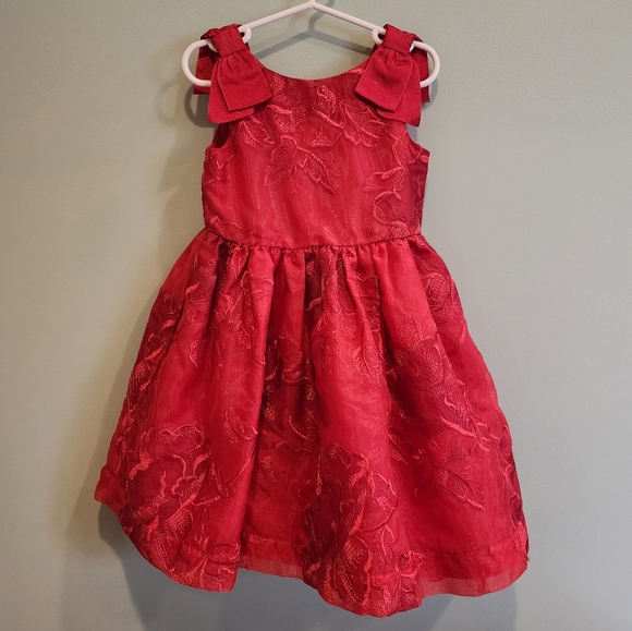 Janie and Jack Red Floral Embroidered Organza Dress | Size 3 - Picture 2 of 8